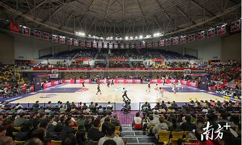 国际球迷在美国篮球场馆观赛场景